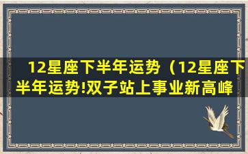 12星座下半年运势（12星座下半年运势!双子站上事业新高峰 射手桃花大开）